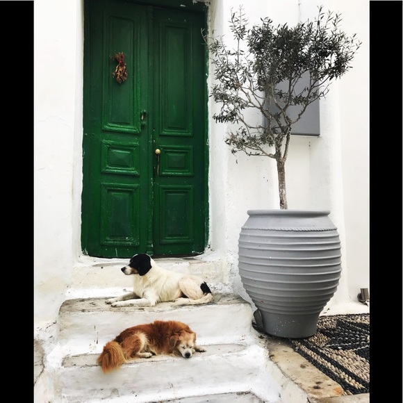 Meet your Posher, Maureen - Picture 8 of 8